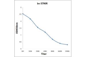 ELISA image for anti-Colony Stimulating Factor 2 (Granulocyte-Macrophage) (CSF2) (AA 65-144) antibody (ABIN704156)