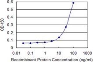 Detection limit for recombinant GST tagged IKBKE is 3 ng/ml as a capture antibody. (IKKi/IKKe antibody  (AA 541-640))