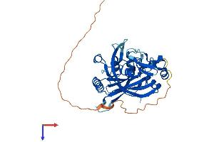 AlphaFold protein structure predicition of Human Recombinant RPUSD3 Protein, UniprotID Q6P087 (RPUSD3 Protein (AA 1-351) (His tag))