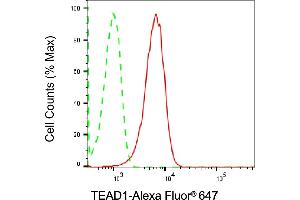 Flow cytometric analysis of TEAD1 expression in HepG2 cells using TEAD1 antibody (ABIN7800525), 1:2,000).
