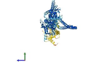 Protein Structure (PS) image for Transporter 2, ATP-Binding Cassette, Sub-Family B (MDR/TAP) (TAP2) (AA 1-702) protein (His tag) (ABIN7563194)