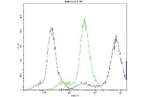 Flow Cytometry analysis of U937 cells using anti-PPT1 antibody (ABIN3043357). (PPT1 antibody  (C-Term))