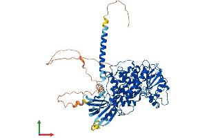 AlphaFold protein structure predicition of Human Recombinant MTMR1 Protein, UniprotID Q13613