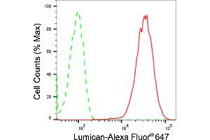 Flow cytometric analysis of Lumican expression in HepG2 cells using Lumican antibody (ABIN7799286), 1:2,000).