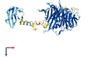 NudC Domain Containing 1 (NUDCD1) (AA 1-583) protein (His tag)
