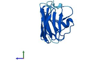 AlphaFold protein structure predicition of Human Recombinant NHLRC4 Protein, UniprotID P0CG21 (NHLRC4 Protein (AA 1-123) (His tag))