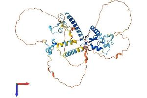Makorin Ring Finger Protein 3 (MKRN3) (AA 1-507) protein (His tag)