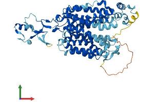 AlphaFold protein structure predicition of Mouse Recombinant Slc22a4 Protein, UniprotID Q9Z306