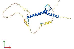 AlphaFold protein structure predicition of Mouse Recombinant Msgn1 Protein, UniprotID Q9JK54 (Mesogenin 1 Protein (MSGN1) (AA 1-188) (His tag))