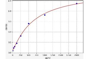 PYCARD ELISA Kit