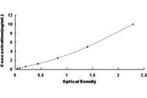 TNK2 ELISA Kit