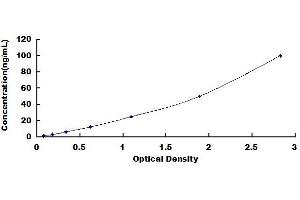 Typical standard curve (LOX ELISA Kit)