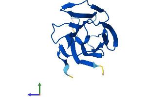 AlphaFold protein structure predicition of Human Recombinant LGALS16 Protein, UniprotID A8MUM7 (Galectin-16 Protein (AA 1-142) (His tag))