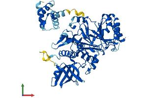 Protein Structure (PS) image for Polymerase (DNA Directed), epsilon 2 (p59 Subunit) (POLE2) (AA 1-527) protein (His tag) (ABIN7547232)
