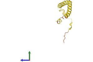 AlphaFold protein structure predicition of Human Recombinant HEPN1 Protein, UniprotID Q6WQI6 (HEPN1 Protein (AA 1-88) (His tag))