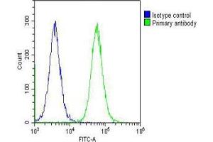 Overlay histogram showing Hela cells stained with (ABIN655062 and ABIN2844692) (green line). (CAD antibody  (AA 780-809))