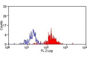 Peripheral Human monocytes stained with Mouse anti Human CD172a Antibody -RPE . (SIRPA antibody  (PE))