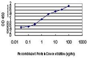 Detection limit for recombinant GST tagged PDE6D is approximately 0. (PDE6D antibody  (AA 1-150))