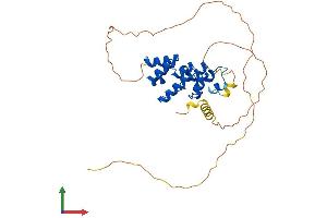 AlphaFold protein structure predicition of Human Recombinant SOWAHD Protein, UniprotID A6NJG2