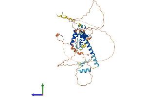 Protein Structure (PS) image for Forkhead Box P3 (FOXP3) (AA 1-429) protein (His tag) (ABIN7564879)
