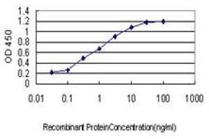 Detection limit for recombinant GST tagged LASS6 is approximately 0. (CERS6 antibody  (AA 62-131))