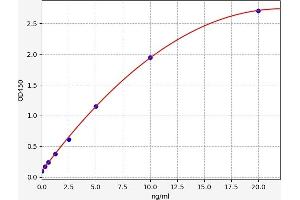 Typical standard curve (RUNX2 ELISA Kit)