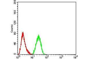 Flow cytometric analysis of Hela cells using KDM1A mouse mAb (green) and negative control (red). (LSD1 antibody  (AA 55-263))