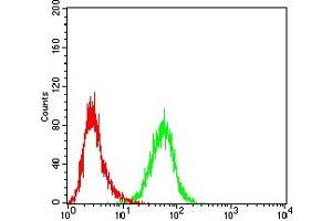 Flow cytometric analysis of HL-60 cells using CD205 mouse mAb (green) and negative control (red). (LY75/DEC-205 antibody)