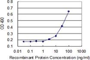 ADH7 (Human) Matched Antibody Pair