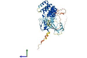 AlphaFold protein structure predicition of Mouse Recombinant Noxa1 Protein, UniprotID Q8CJ00 (NOXA1 Protein (AA 1-444) (His tag))