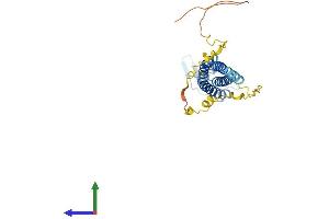 AlphaFold protein structure predicition of Human Recombinant CLDN23 Protein, UniprotID Q96B33 (Claudin 23 Protein (CLDN23) (AA 1-292) (His tag))