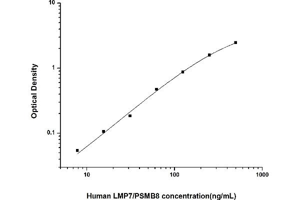 PSMB8 ELISA Kit