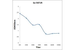 Antigen: 0. (MDM2 antibody  (pSer186))