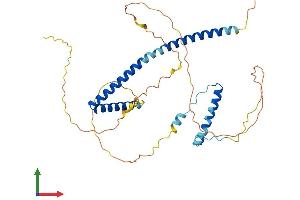 AlphaFold protein structure predicition of Mouse Recombinant Hexim1 Protein, UniprotID Q8R409 (HEXIM1 Protein (AA 1-356) (His tag))