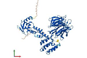AlphaFold protein structure predicition of Mouse Recombinant Klhl10 Protein, UniprotID Q9D5V2 (KLHL10 Protein (AA 1-608) (His tag))
