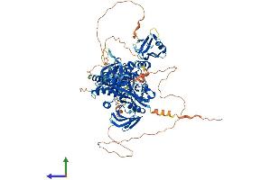 AlphaFold protein structure predicition of Human Recombinant PTPN4 Protein, UniprotID P29074 (PTPN4 Protein (AA 1-926) (His tag))
