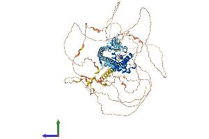AlphaFold protein structure predicition of Human Recombinant MICALL1 Protein, UniprotID Q8N3F8 (MICAL-Like 1 Protein (MICALL1) (AA 1-863) (His tag))