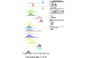 Expression profiling on peripheral blood subsets using anti-human CD16 purified antibody (clone 3G8).