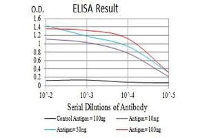 Black line: Control Antigen (100 ng),Purple line: Antigen (10 ng), Blue line: Antigen (50 ng), Red line:Antigen (100 ng) (CD40 antibody  (AA 21-193))