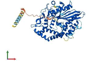 AlphaFold protein structure predicition of Mouse Recombinant Pxylp1 Protein, UniprotID Q8BHA9 (ACPL2 Protein (AA 1-480) (His tag))