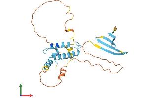 AlphaFold protein structure predicition of Mouse Recombinant Dnajb3 Protein, UniprotID O35723