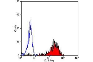 Staining of human peripheral blood lymphocytes with MOUSE ANTI HUMAN CD36: FITC(ABIN119476). (CD36 antibody  (FITC))