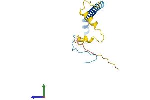 Protein Structure (PS) image for Poly Binding Protein Interacting Protein 2 (PAIP2) (AA 1-124) protein (His tag) (ABIN7561057)
