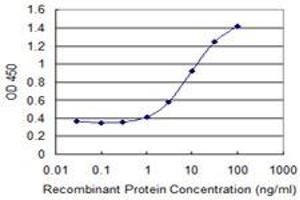 Detection limit for recombinant GST tagged PAFAH2 is 0. (PAFAH2 antibody  (AA 293-392))