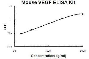 Mouse VEGF PicoKine ELISA Kit standard curve