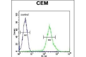 Flow Cytometry (FACS) image for anti-Chromosome 6 Open Reading Frame 108 (C6orf108) (AA 20-48), (N-Term) antibody (ABIN652111)