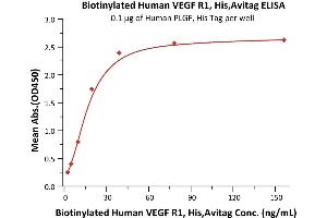 Immobilized Human PLGF, His Tag (ABIN2181648,ABIN2181647) at 1 μg/mL (100 μL/well) can bind Biotinylated Human VEGF R1, His,Avitag (ABIN5955009,ABIN6253629) with a linear range of 2-20 ng/mL (Routinely tested). (FLT1 Protein (AA 27-756) (His tag,AVI tag,Biotin))