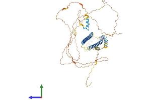 AlphaFold protein structure predicition of Human Recombinant TSGA10IP Protein, UniprotID Q3SY00