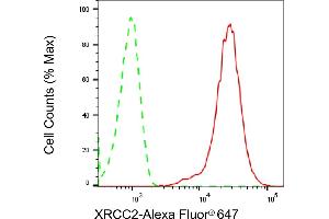 Flow cytometric analysis of XRCC2 expression in HepG2 cells using XRCC2 antibody (ABIN7800875), 1:2,000). (Recombinant XRCC2 antibody)