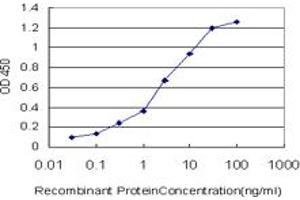 Detection limit for recombinant GST tagged IL8 is approximately 0. (IL-8 antibody  (AA 21-99))